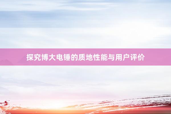 探究博大电锤的质地性能与用户评价